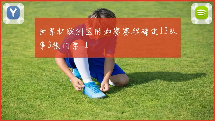 世界杯欧洲区附加赛赛程确定12队争3张门票_1