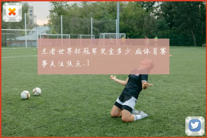 王者世界杯冠军奖金多少 成体育赛事关注焦点_1